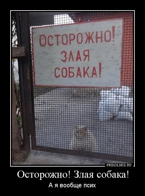 Осторожно! Злая собака! 0